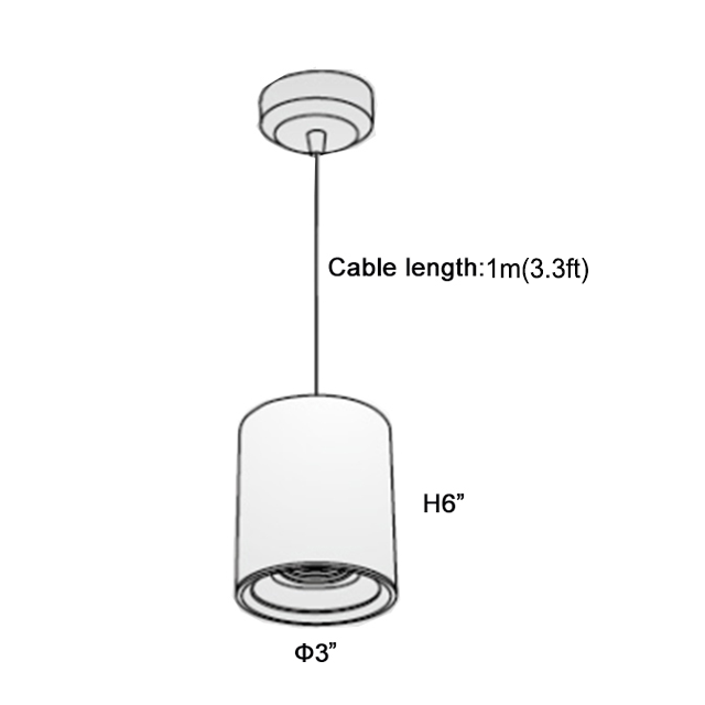 Master D IP65 ETL Pendant White+Black